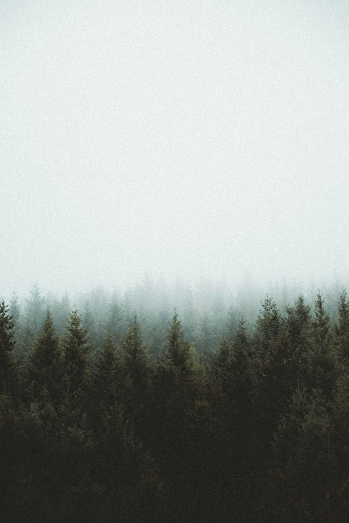 How Engineering Shapes Corporate Sustainability